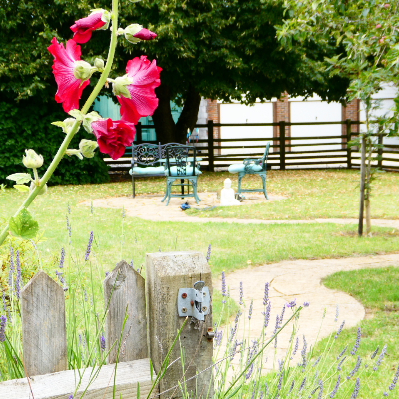 images/garden5.jpg#joomlaImage://local-images/garden5.jpg?width=800&height=800