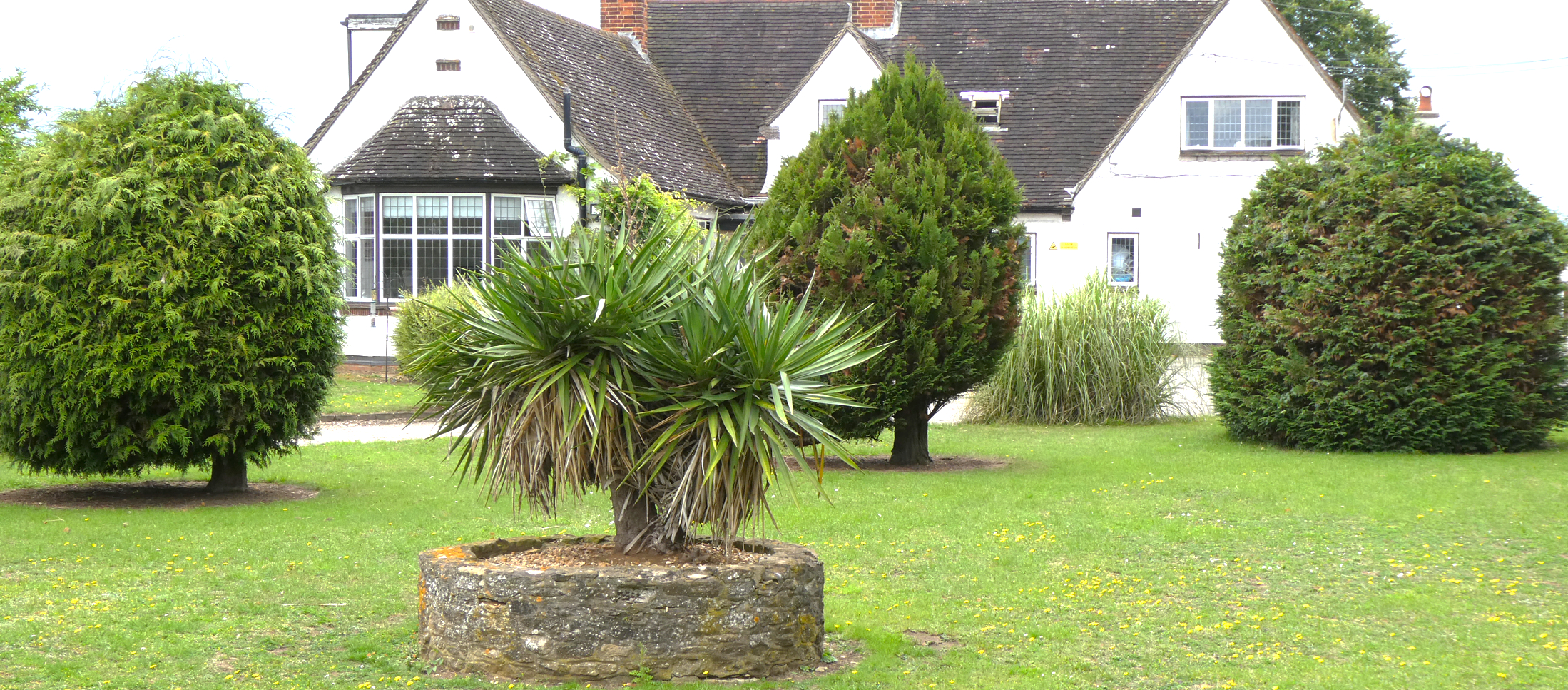 Set in Extensive Grounds